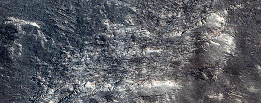 Elysium Planitia Region