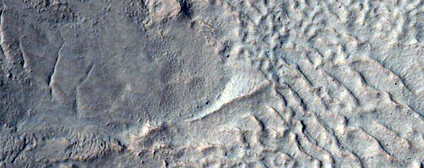 Gullied Crater Wall