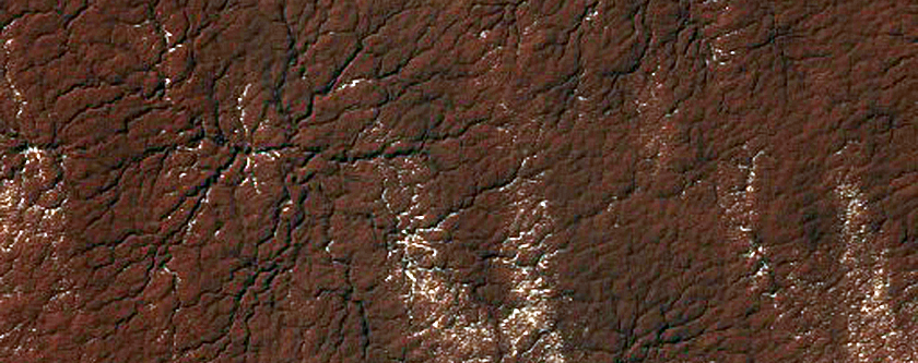 South Polar Monitoring