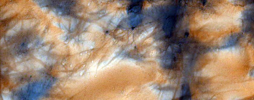 Seasonal Haloes and Fractal Patterns