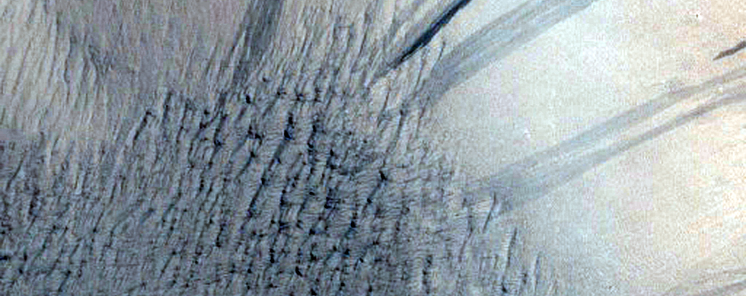 Lycus Sulci Olympus Mons Aureole