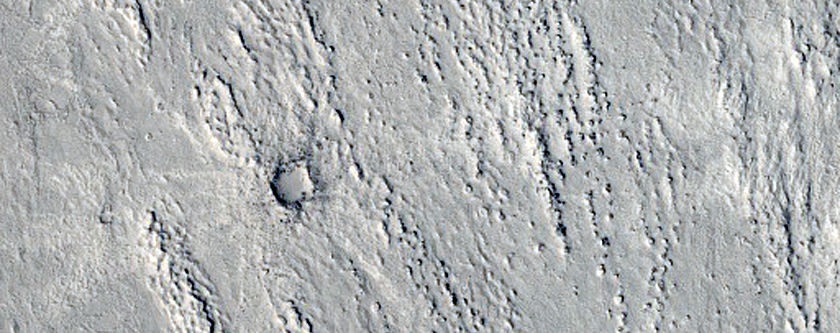 Athabasca Valles Distributary Channels