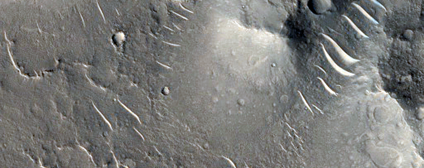 Rootless Cones in Isidis Planitia