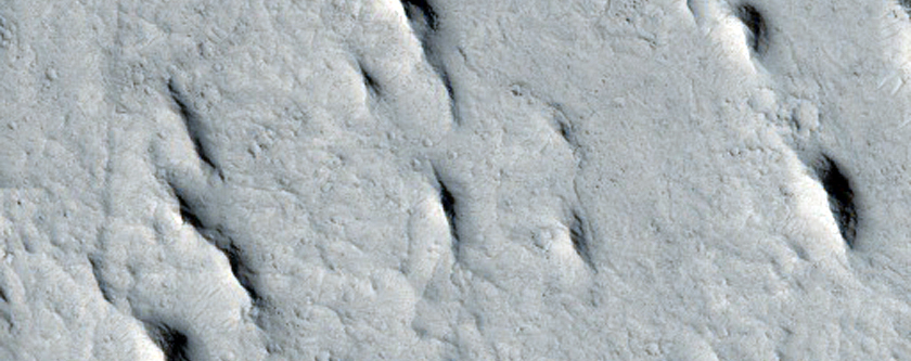 Southeastern Cerberus Palus