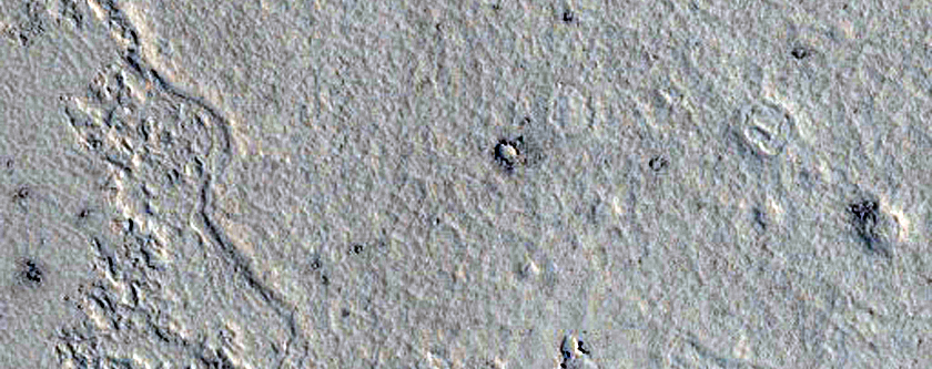 Lava Flows in Southern Elysium Planitia