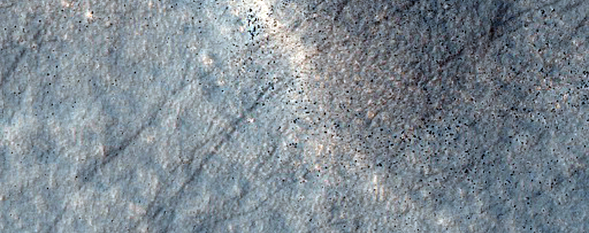 West Rim of Secchi Crater