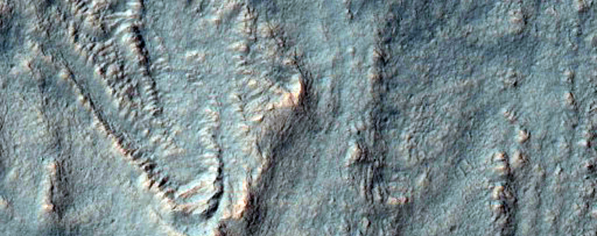 Gullies Cutting Debris Mantle in Crater Wall
