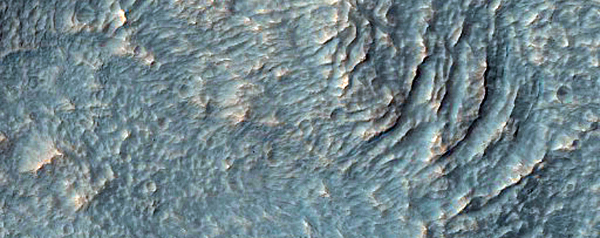 Recent Gullies in Well-Preserved Crater