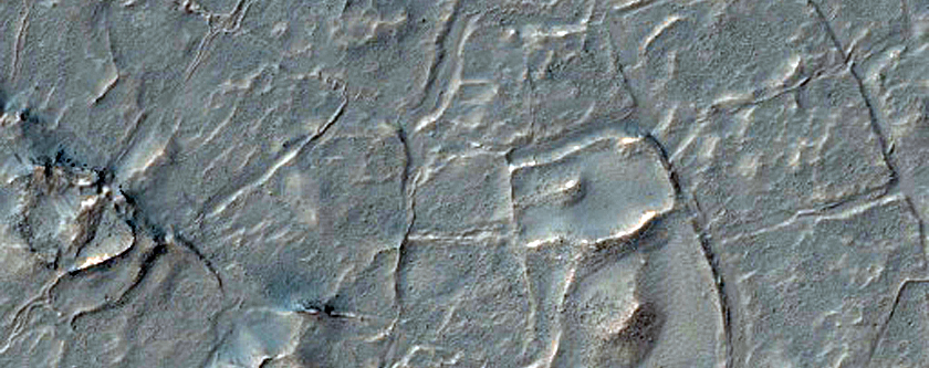 Fan and Polygonal Features within South Mid-Latitude Crater