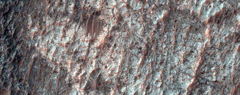 Crater Floor with Radial Ridge Pattern