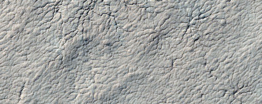 South Polar Monitoring