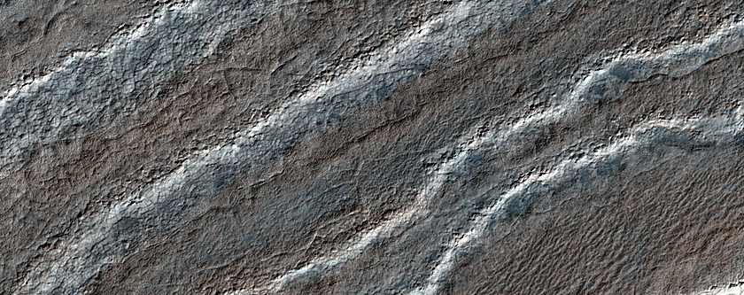 Southern Summer View of Northwest Interior of South Crater