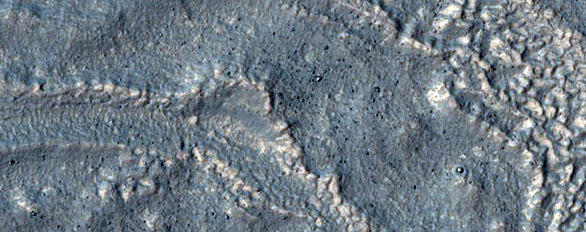 Multi-Lobed Gully Apron in South-Facing Wall of Crater