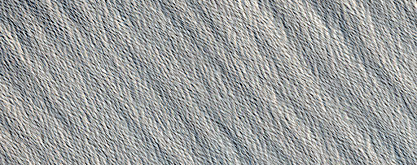 Candidate New Impact Site Formed between September 2004 and January 2009