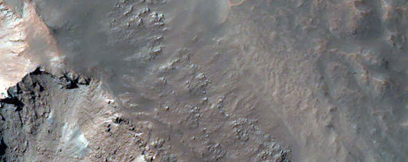 Very Bright and Sun-Facing Gully Deposits in Hale Crater