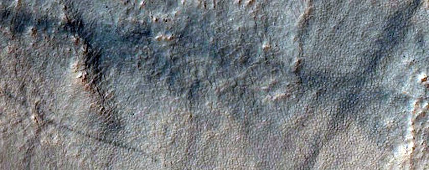 Gullied Crater Wall