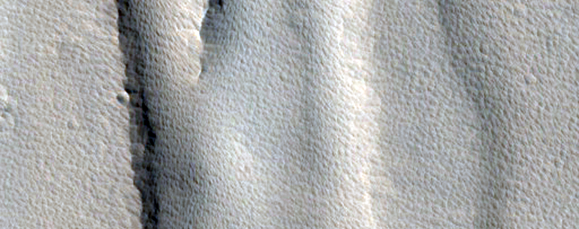 Contact between Elysium Mons and Rise Lavas