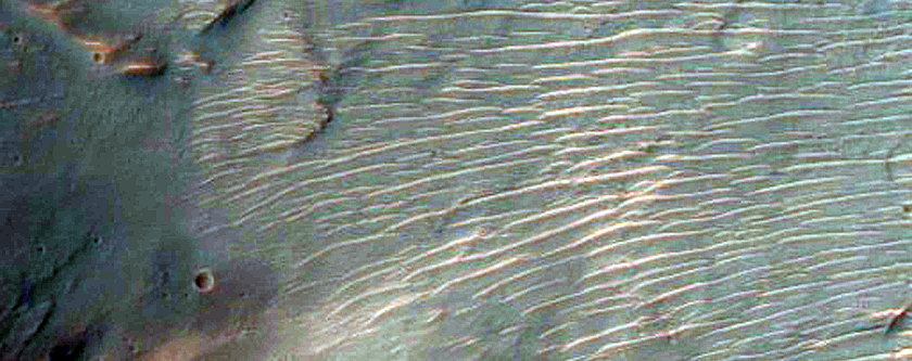 Western Portion of Bedrock-Rich Alga Crater