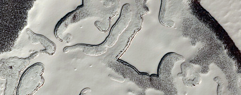 South Polar Residual Cap Monitoring - Scarp Backwasting
