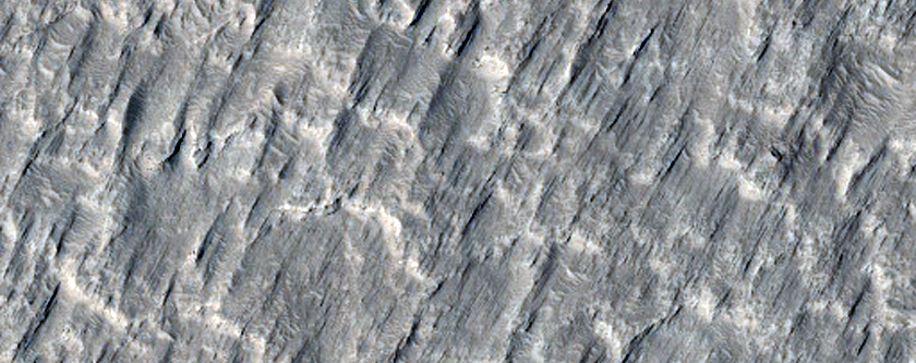 Terrain Near Isidis Planitia