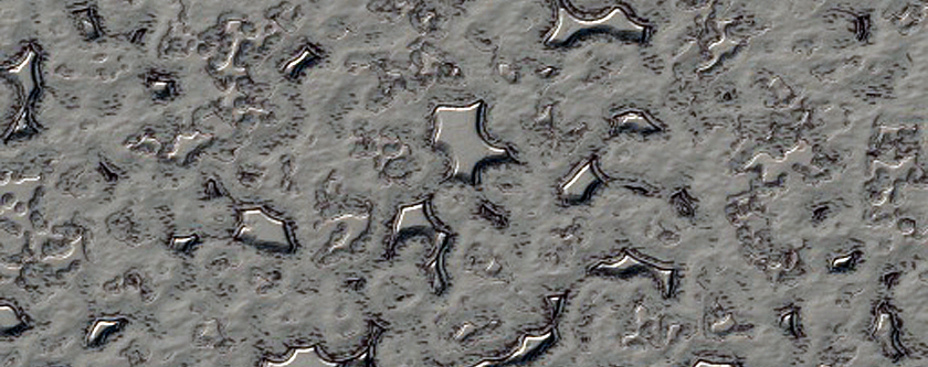 South Polar Residual Cap Intraseasonal Change Monitoring