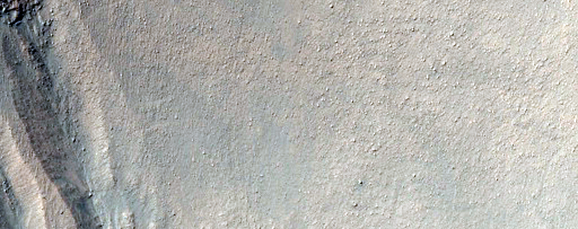 Gullied Crater Wall