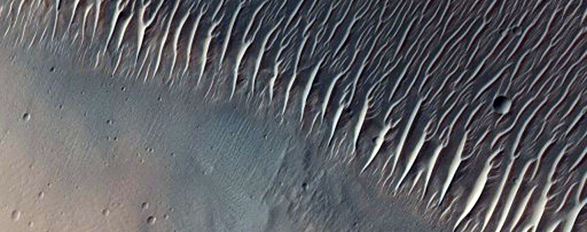 Her Desher Vallis Possible Phyllosilicates