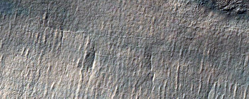 Possible Hydrated Materials on Crater Wall
