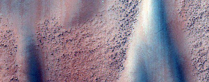 USGS Dune Database Entry Number 1684-579