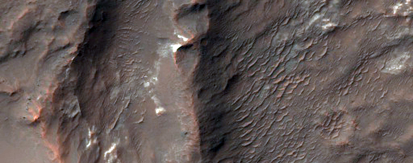 Possible Clays and Chlorides Near Columbus Crater