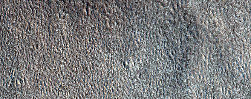Textured Plain in Arcadia Planitia