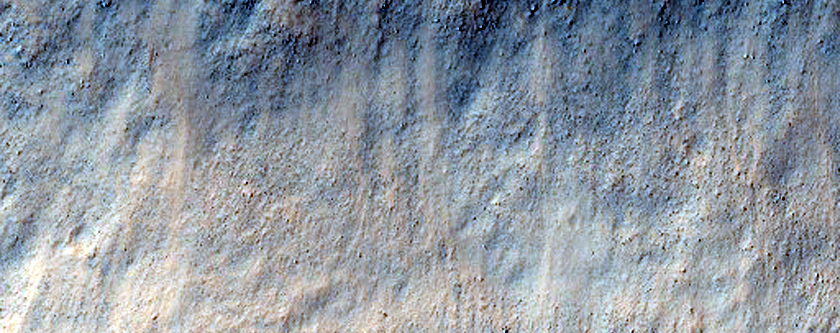 Possible Noachian Olivine at the Edge of Isidis Planitia