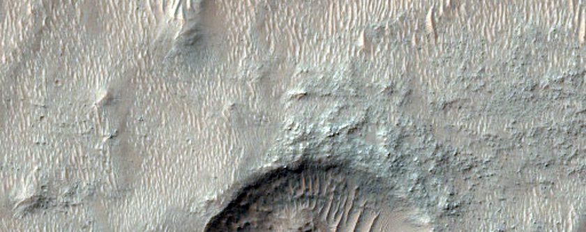 Craters with Inner Terraces in Noachis Terra