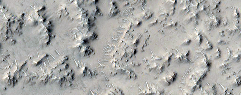 Continuous Ejecta of an Apparently Very Young 40-Kilometer Diameter Crater