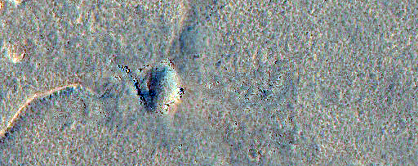 Sinuous Ridge