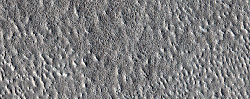 Impact Monitoring in Arcadia Planitia