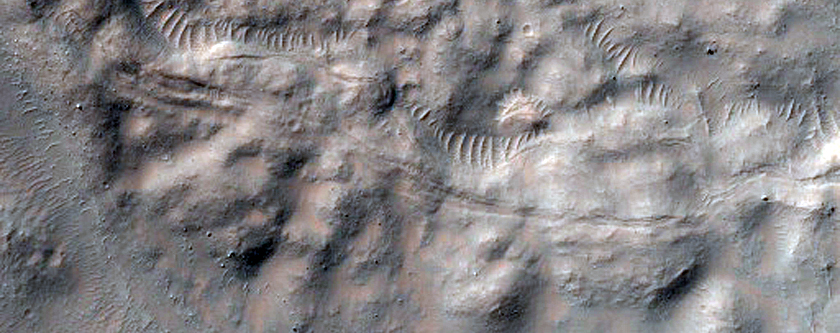 Gullied Crater in Terra Cimmeria