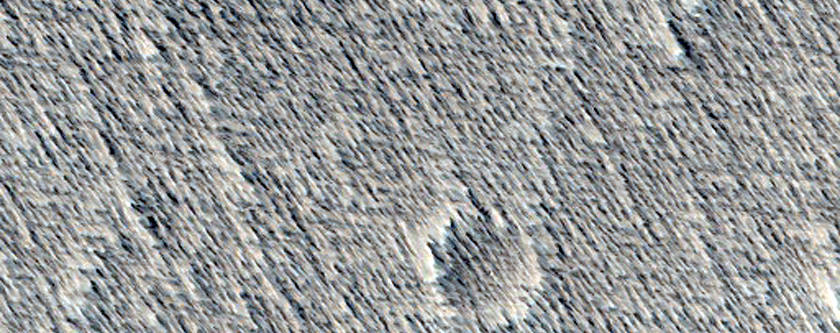 Candidate Fresh Impact Site Formed Between January 2005 and August 2009