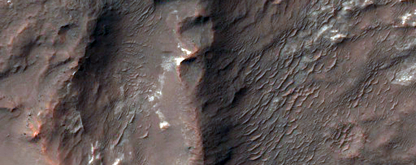Possible Clays and Chlorides near Columbus Crater