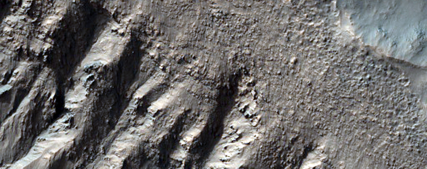 Gullied Crater Wall