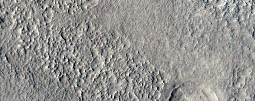 Nilosyrtis Mensae Fretted Terrain - Northern Plains Transition Area
