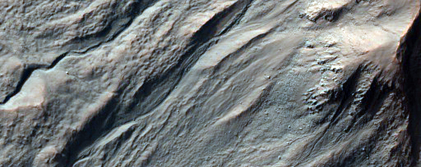 Gullied Crater Wall