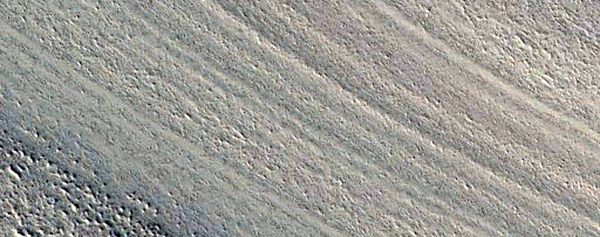 Polar Troughs