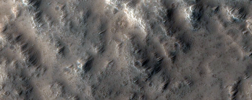 Bedforms in Trough on Olympus Mons
