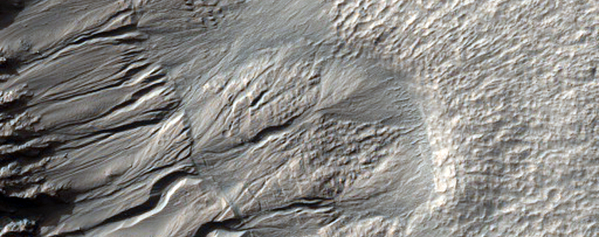 Gullied Crater Wall