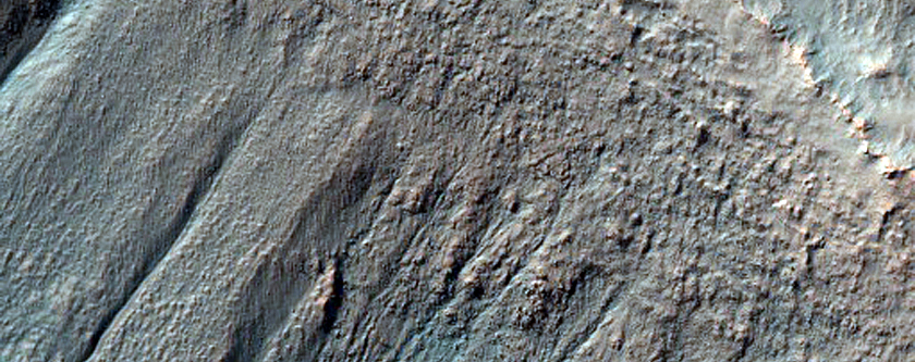 Gullied Crater Wall