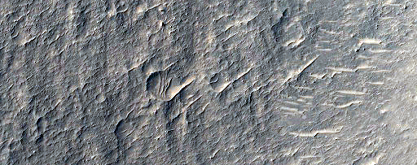 Amenthes Fossae Sample