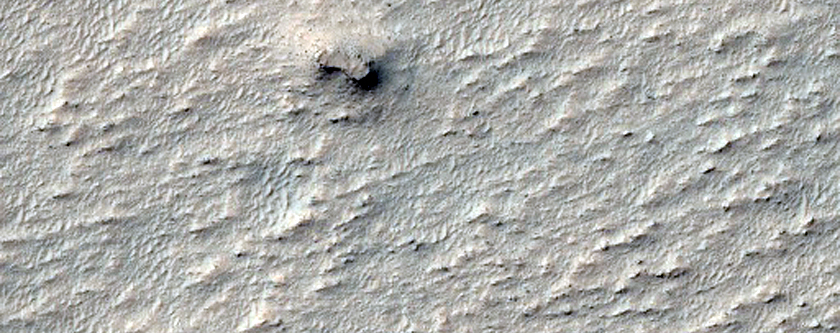 Patch of High Thermal-Inertia Ground