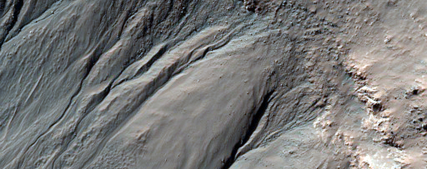 Gullies in a Crater South of Sirenum Fossae