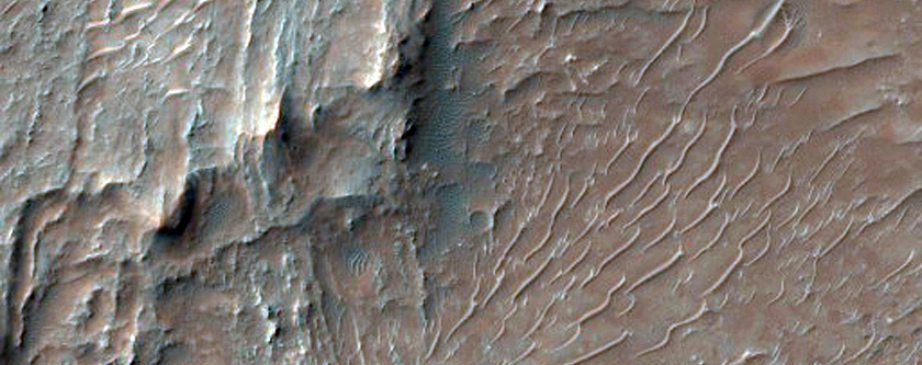 Impact Flow Ejecta in Tyrrhena Terra